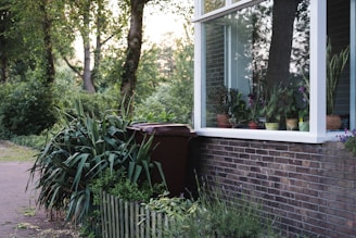 A serene garden scene featuring a brick house with a large window. Several potted plants are displayed on the window sill, and lush greenery surrounds the area, including tall trees and bushes. A brown recycling bin is placed near a small wooden fence bordering the garden.