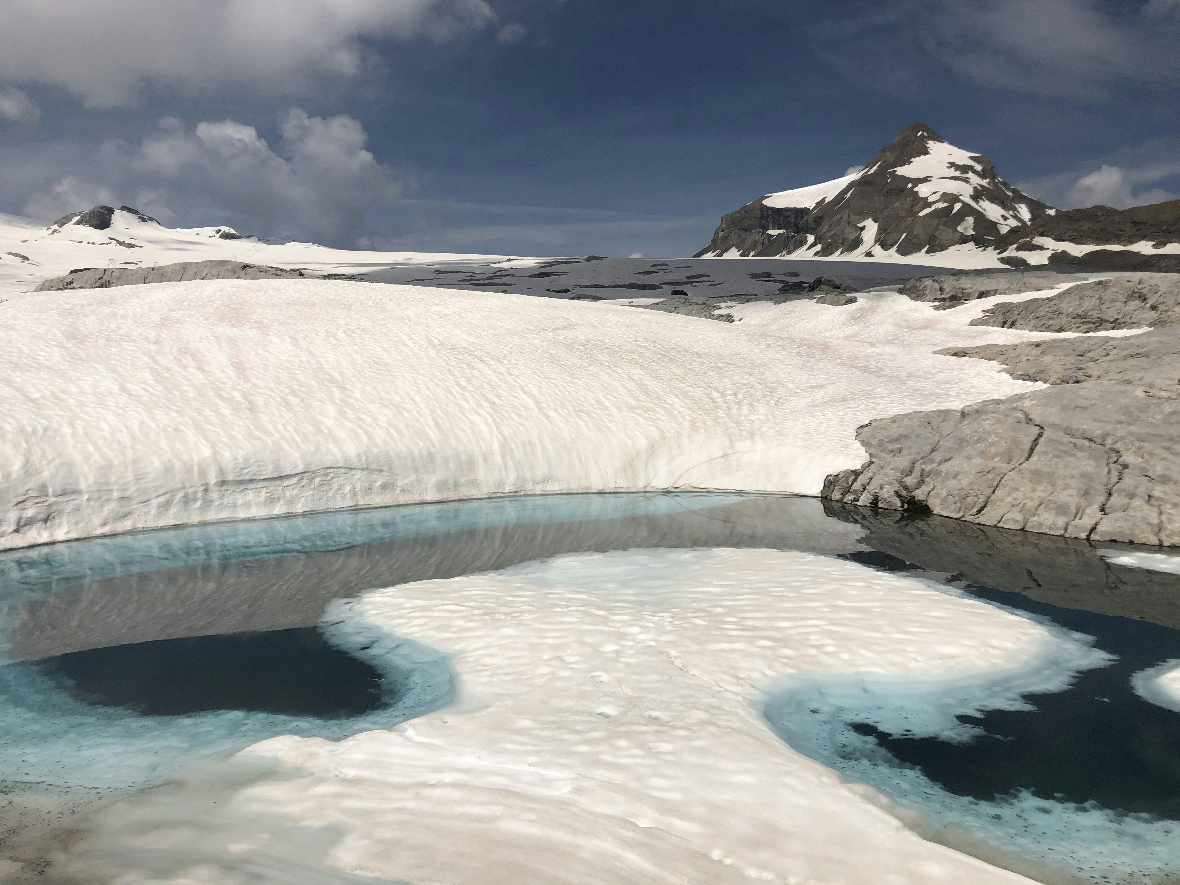 Ancient Life Forms Awakening After Millennia (image credits: unsplash)