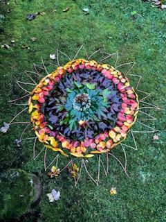 A vibrant seasonal mandala made of autumn leaves, fresh herbs, and crystals arranged on a wooden table.
