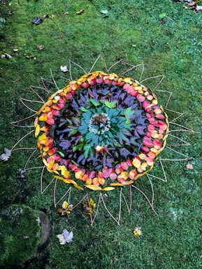 A vibrant seasonal mandala made of autumn leaves, fresh herbs, and crystals arranged on a wooden table.