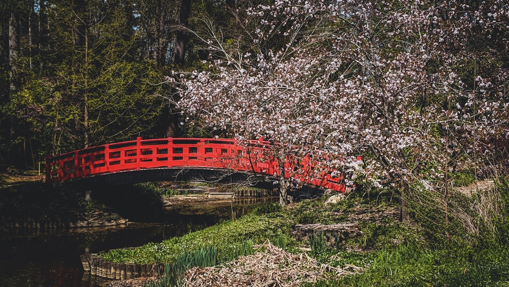 Rot-weiße Brücke über den Fluss