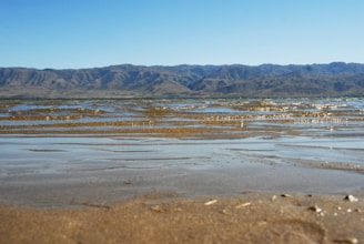 A serene view of Portugal's Silver Coast with golden sandy beaches meeting gentle waves under a clear blue sky.