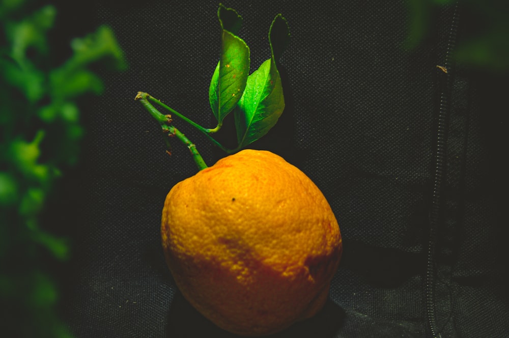 orange fruit on black textile