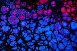 blue and red abstract painting