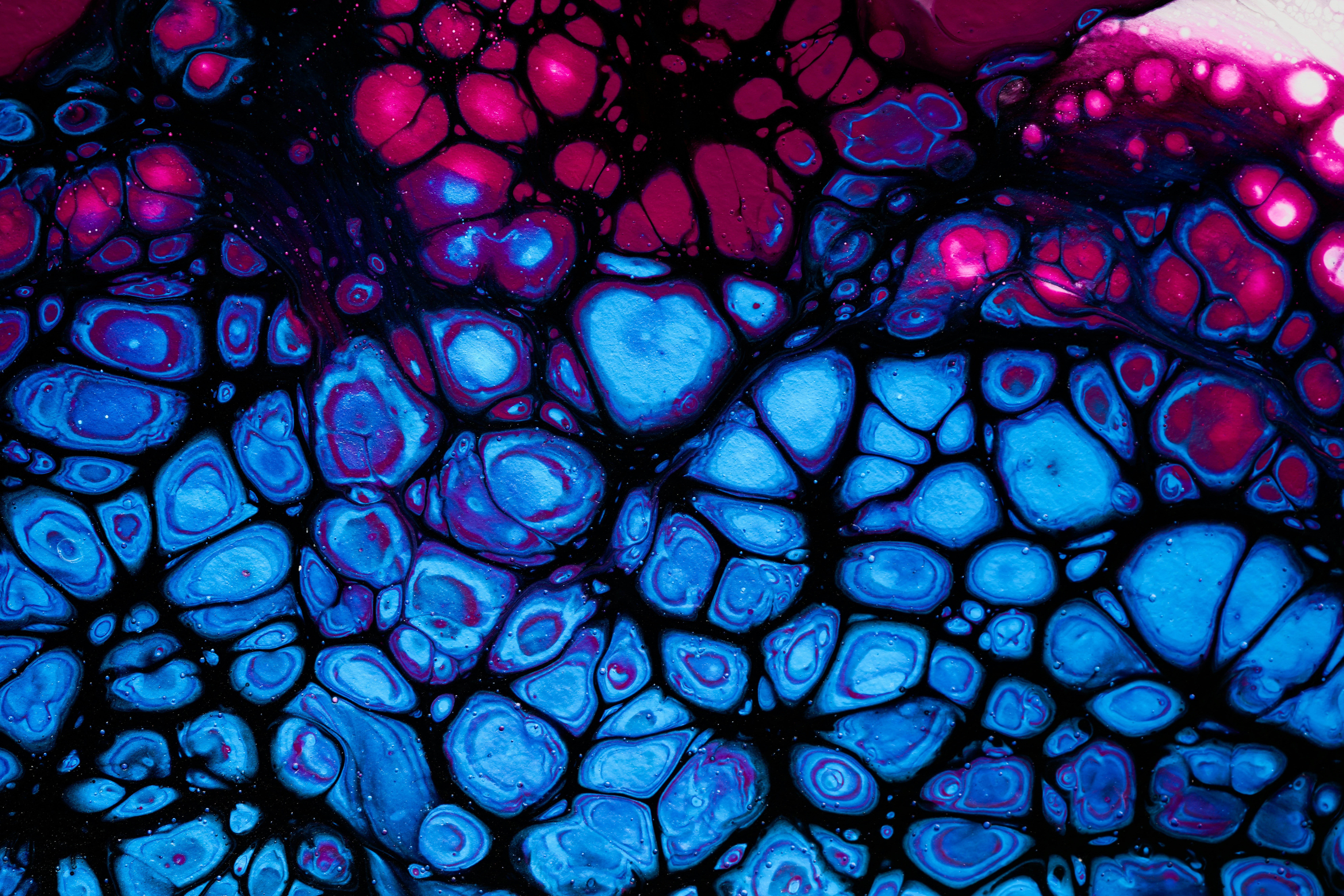 Mesenchymal Stem Cells Therapy Kit
