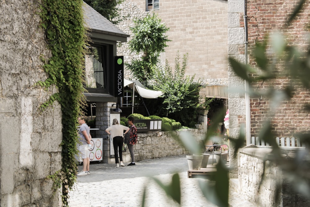 people walking on sidewalk near green trees during daytime