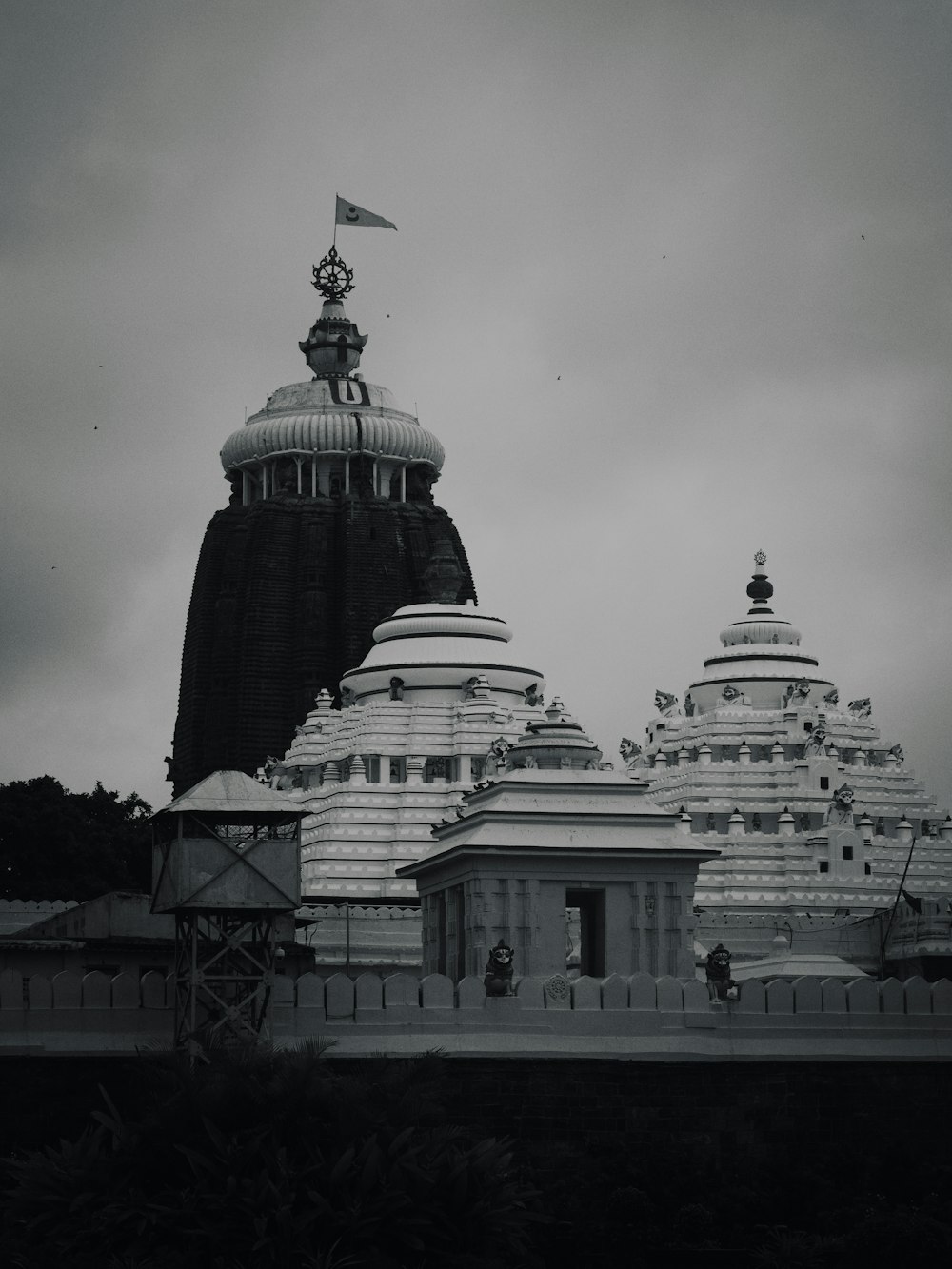 Puri Pictures | Download Free Images on Unsplash