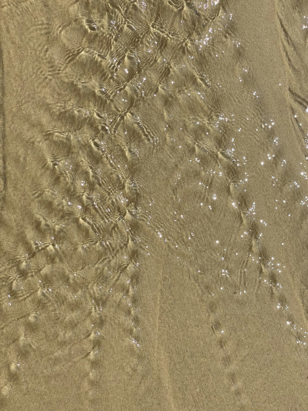 brown sand with water during daytime