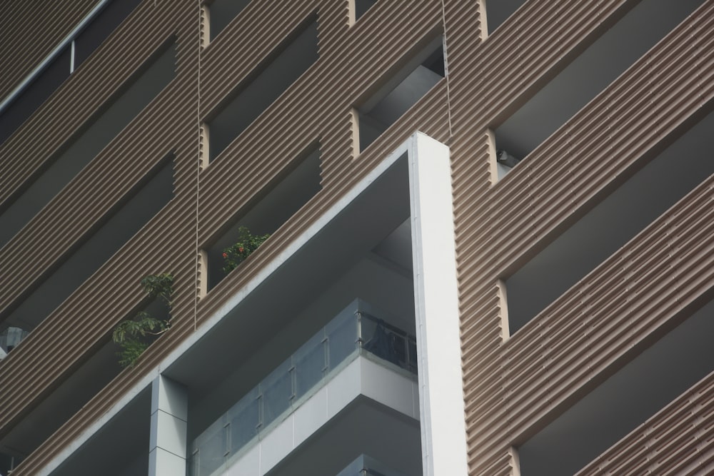 brown and white concrete building