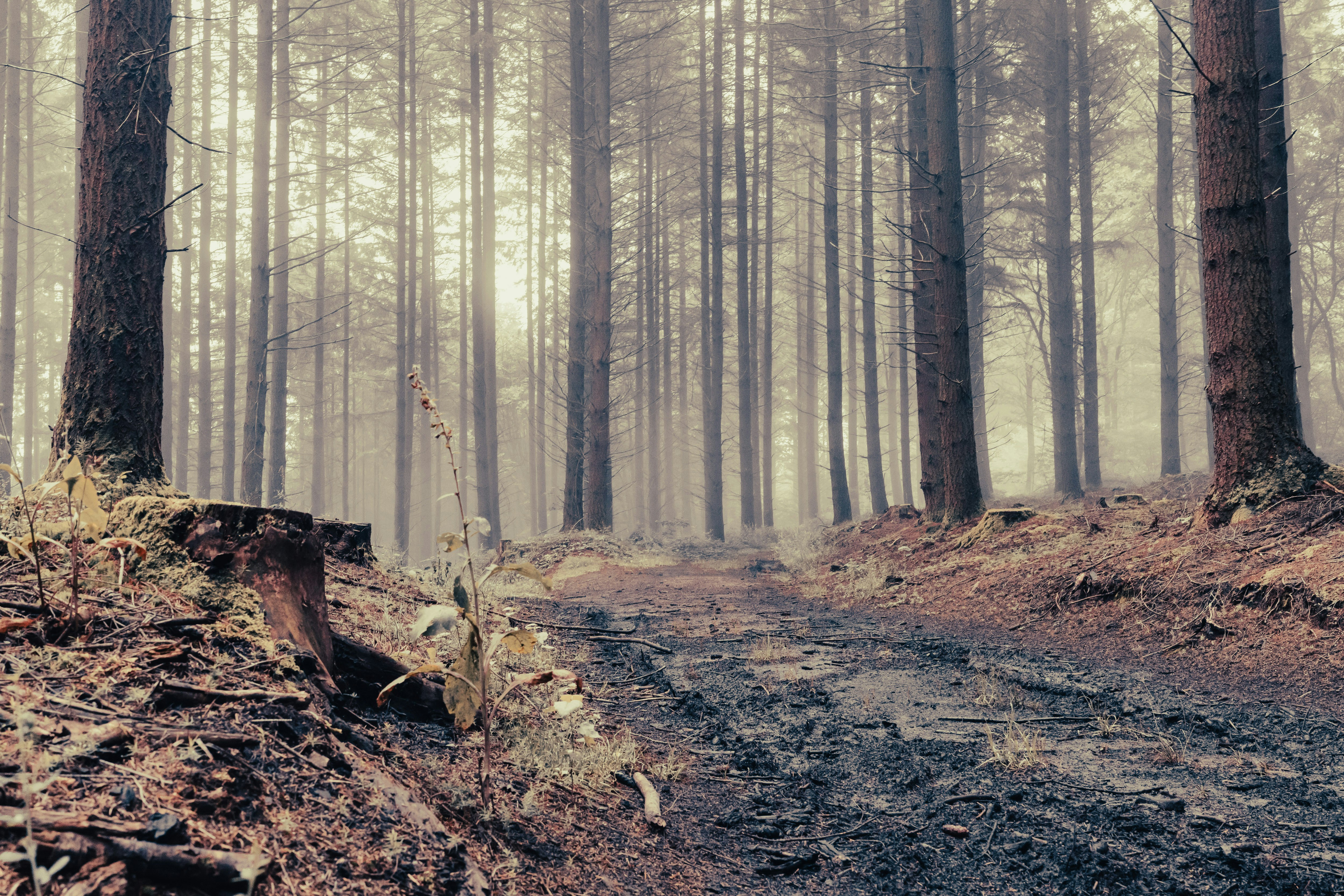 Photo by guillaumedegermain