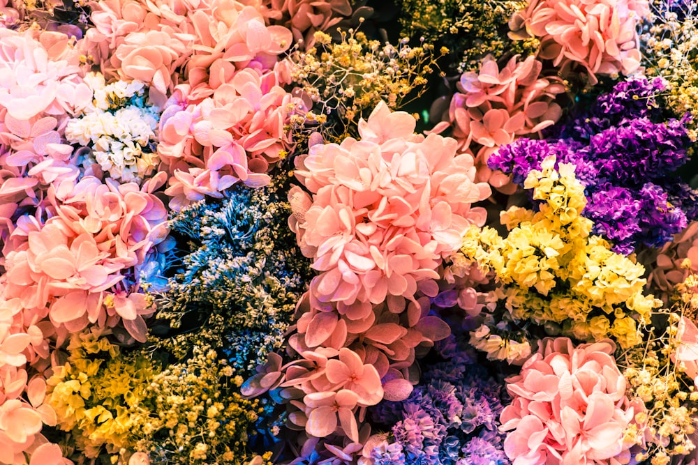 pink and yellow flowers during daytime
