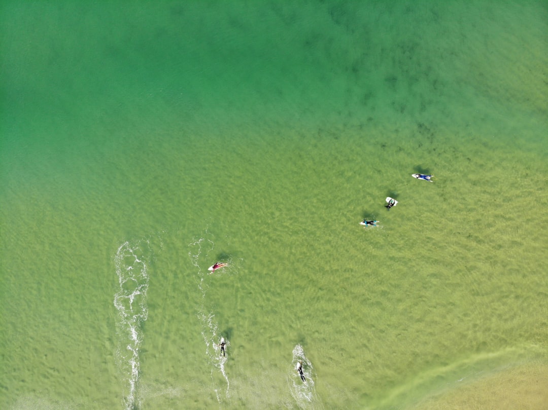 aerial view of people swimming on beach during daytime