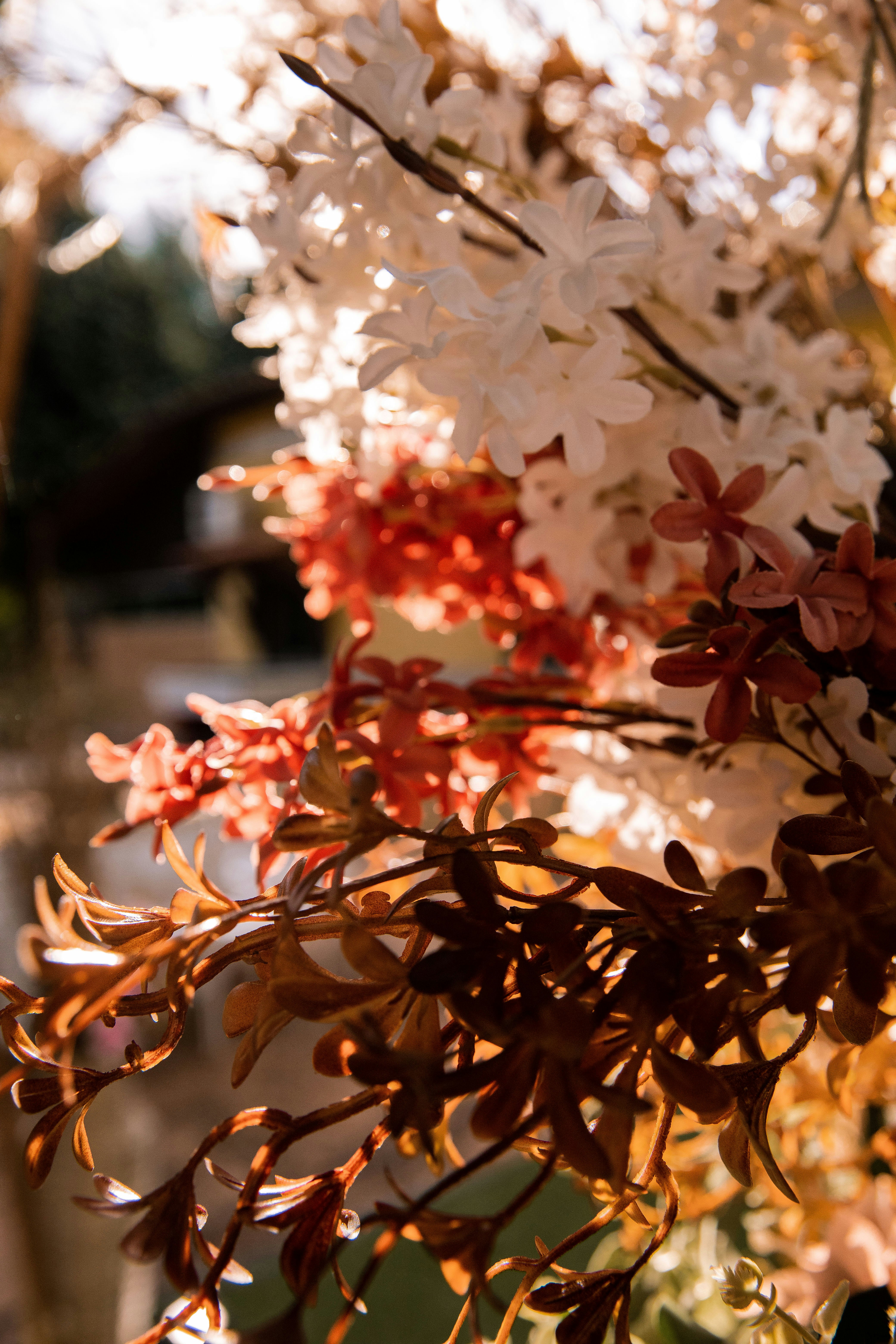 Photo by juniorreisfoto