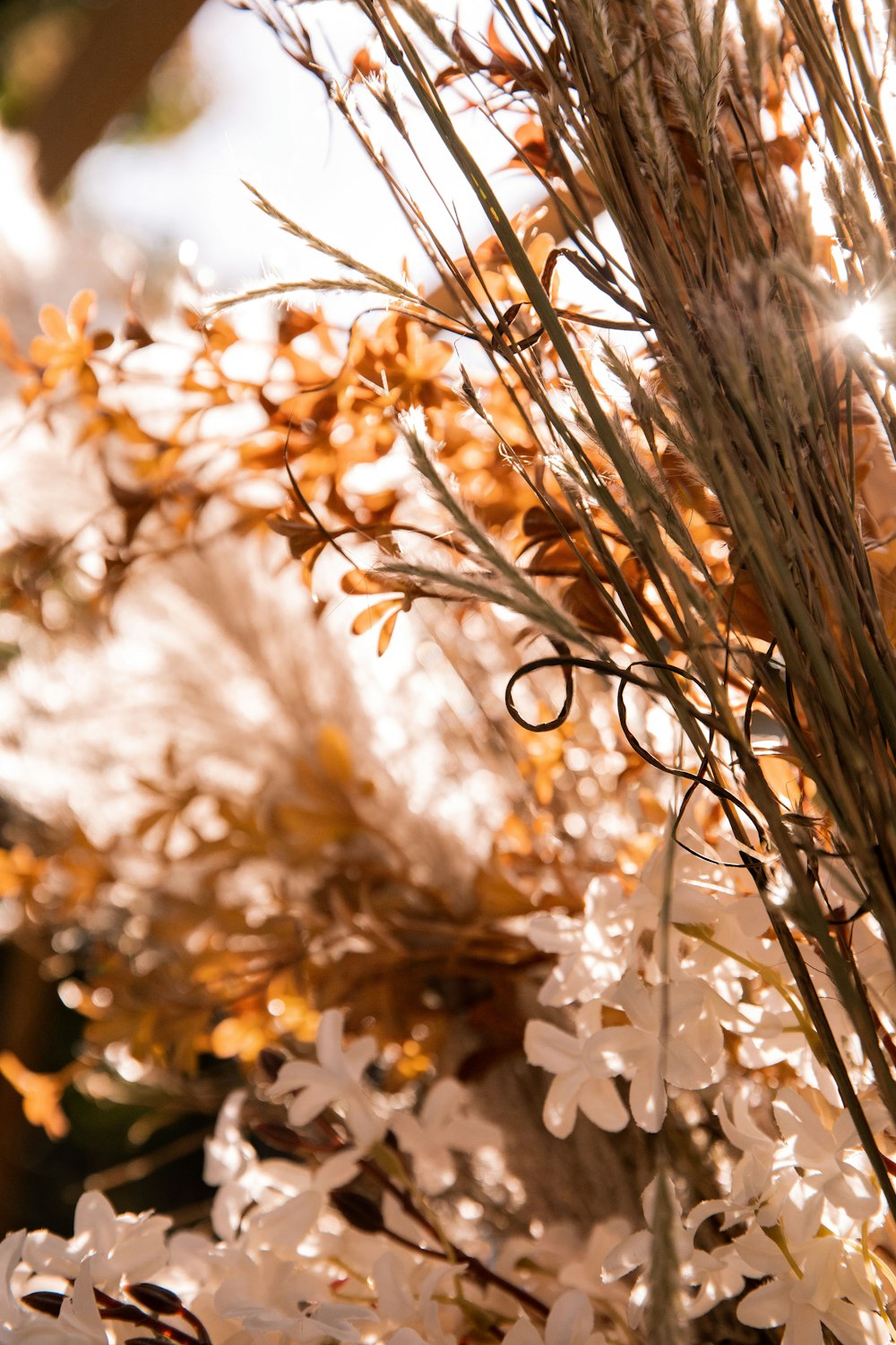 white flowers in tilt shift lens