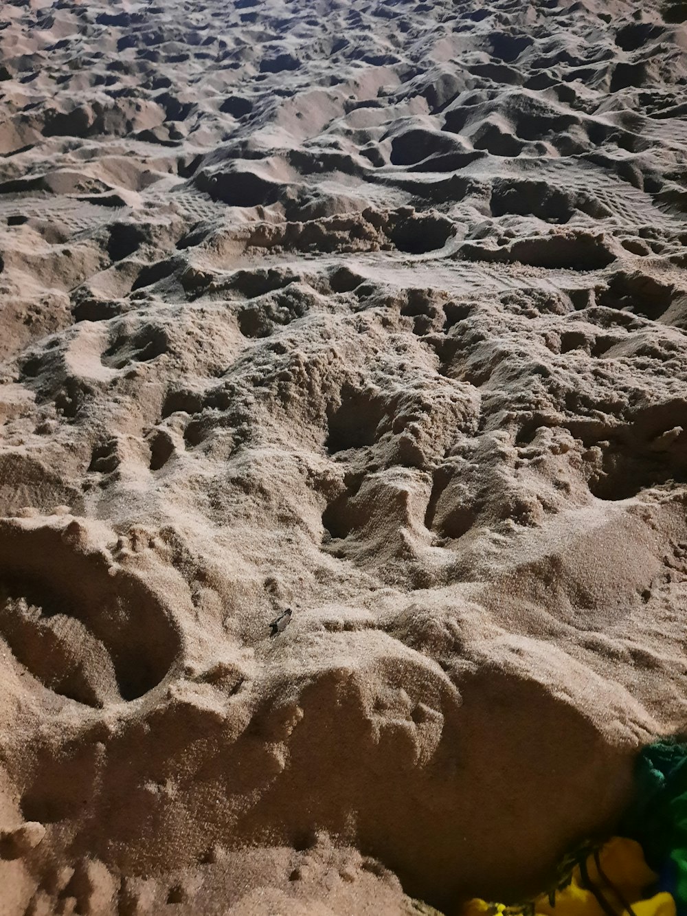 brown sand on brown sand