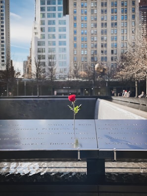 A single red rose is placed on a memorial plaque engraved with names. In the background, there are tall, modern buildings under a clear, blue sky. The scene is serene and reverent.