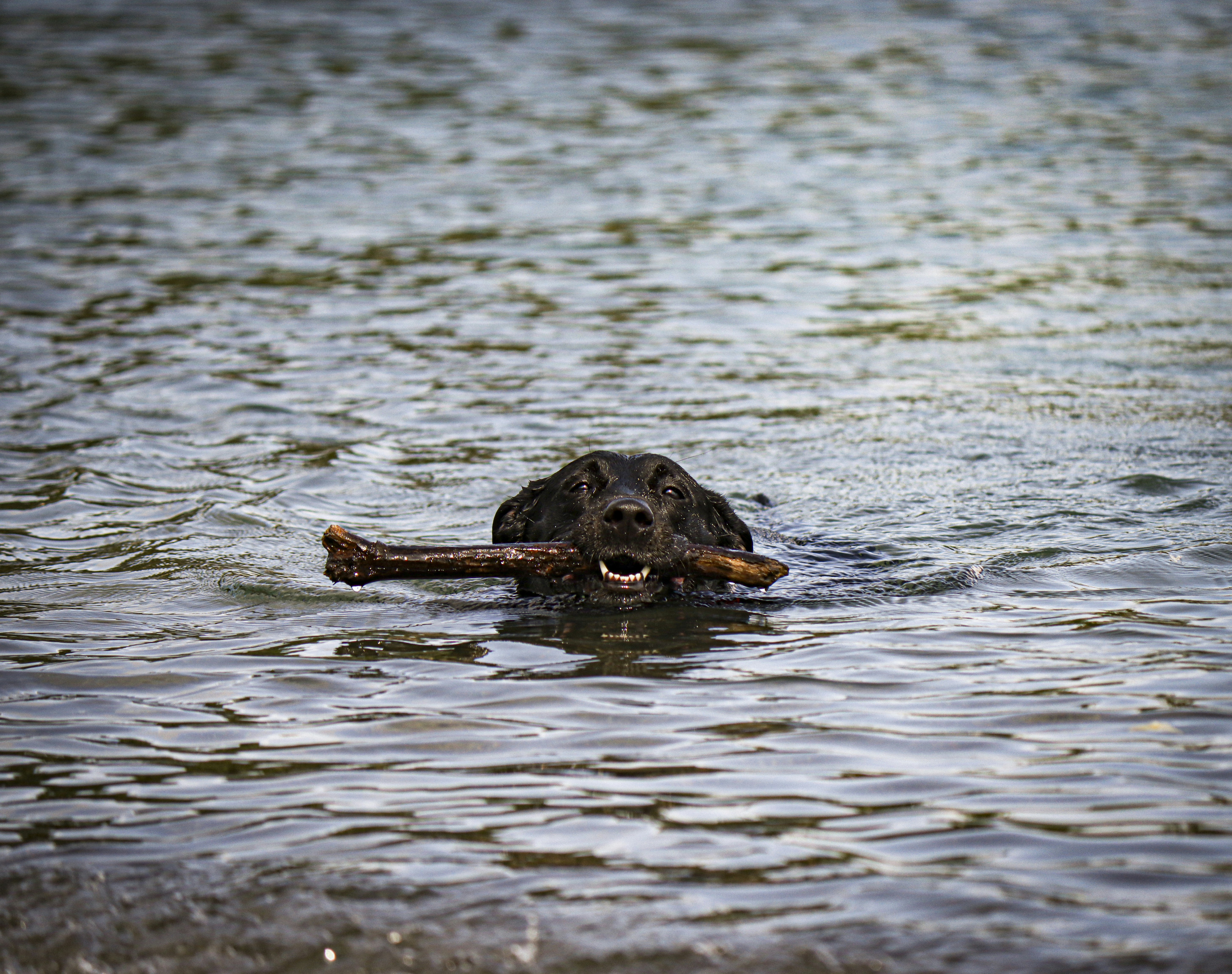 Photo by anibal_paradisi