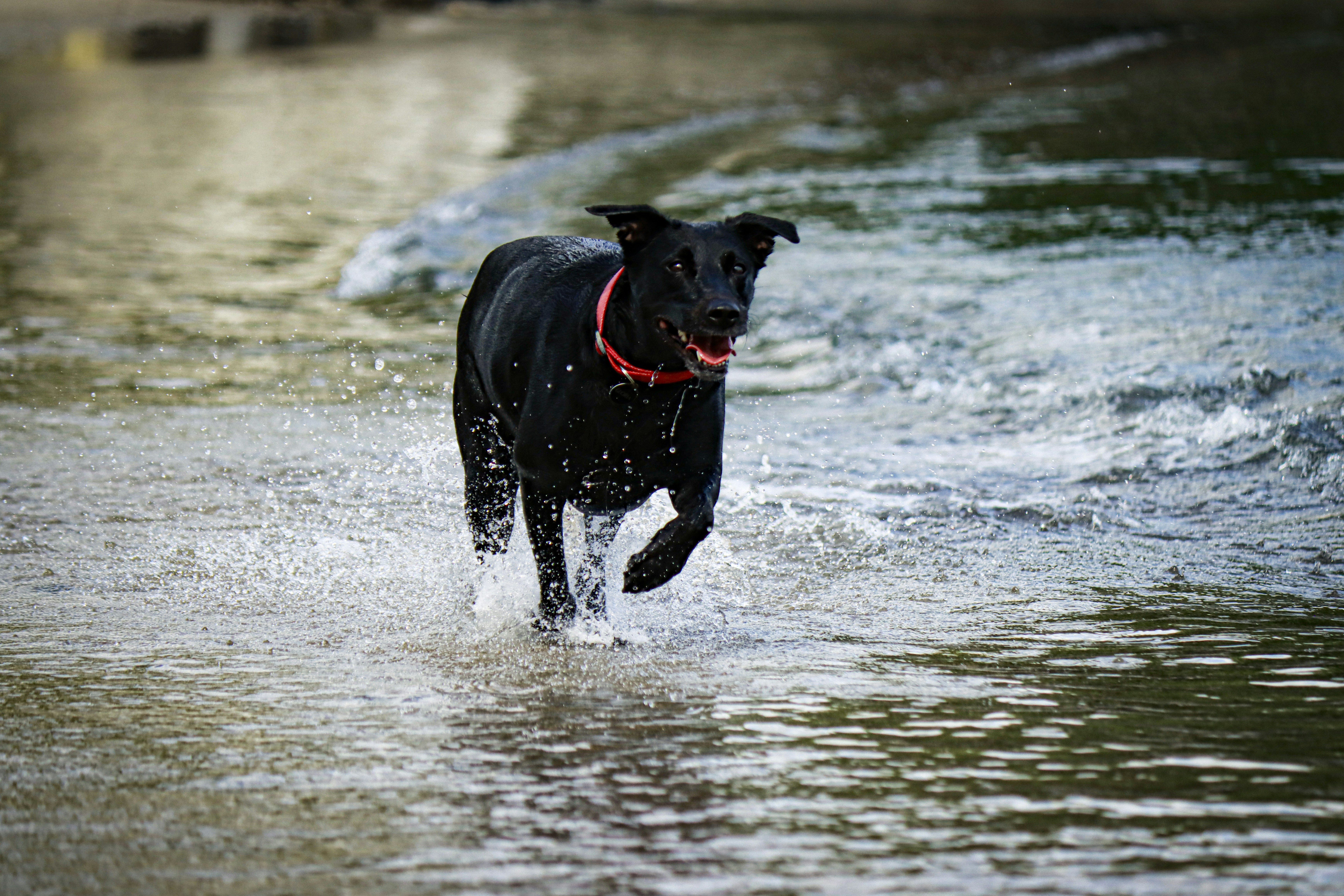 Photo by anibal_paradisi