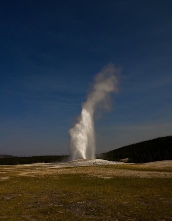 A geyser erupts, shooting a large plume of water and steam high into the air against a backdrop of a clear blue sky and surrounded by a grassy plain. Dense forest lines the horizon, complementing the natural scene.