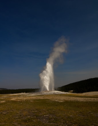 A geyser erupts, shooting a large plume of water and steam high into the air against a backdrop of a clear blue sky and surrounded by a grassy plain. Dense forest lines the horizon, complementing the natural scene.