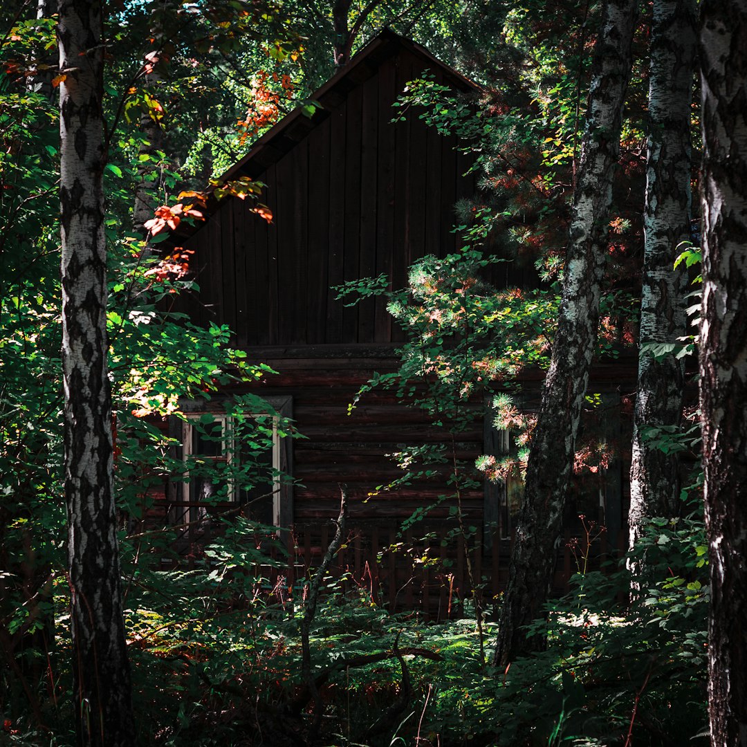 brown wooden house in the woods