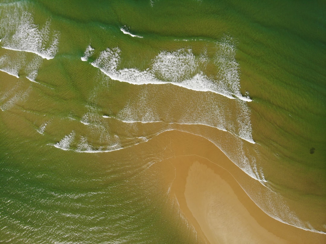 brown sand and body of water