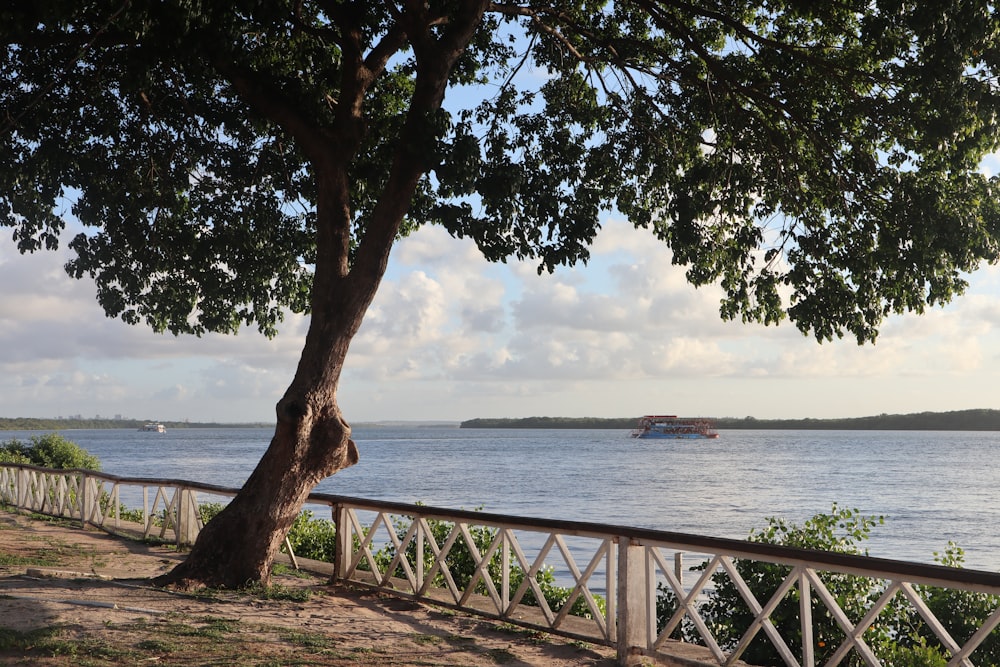 brown wooden bridge over the sea during daytime