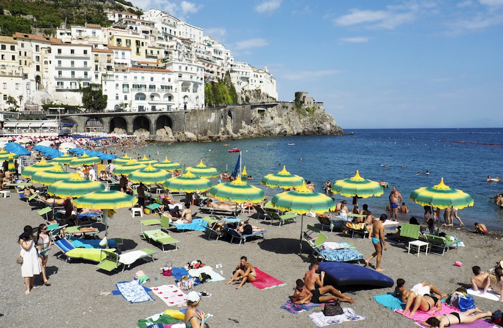 people on beach shore during daytime