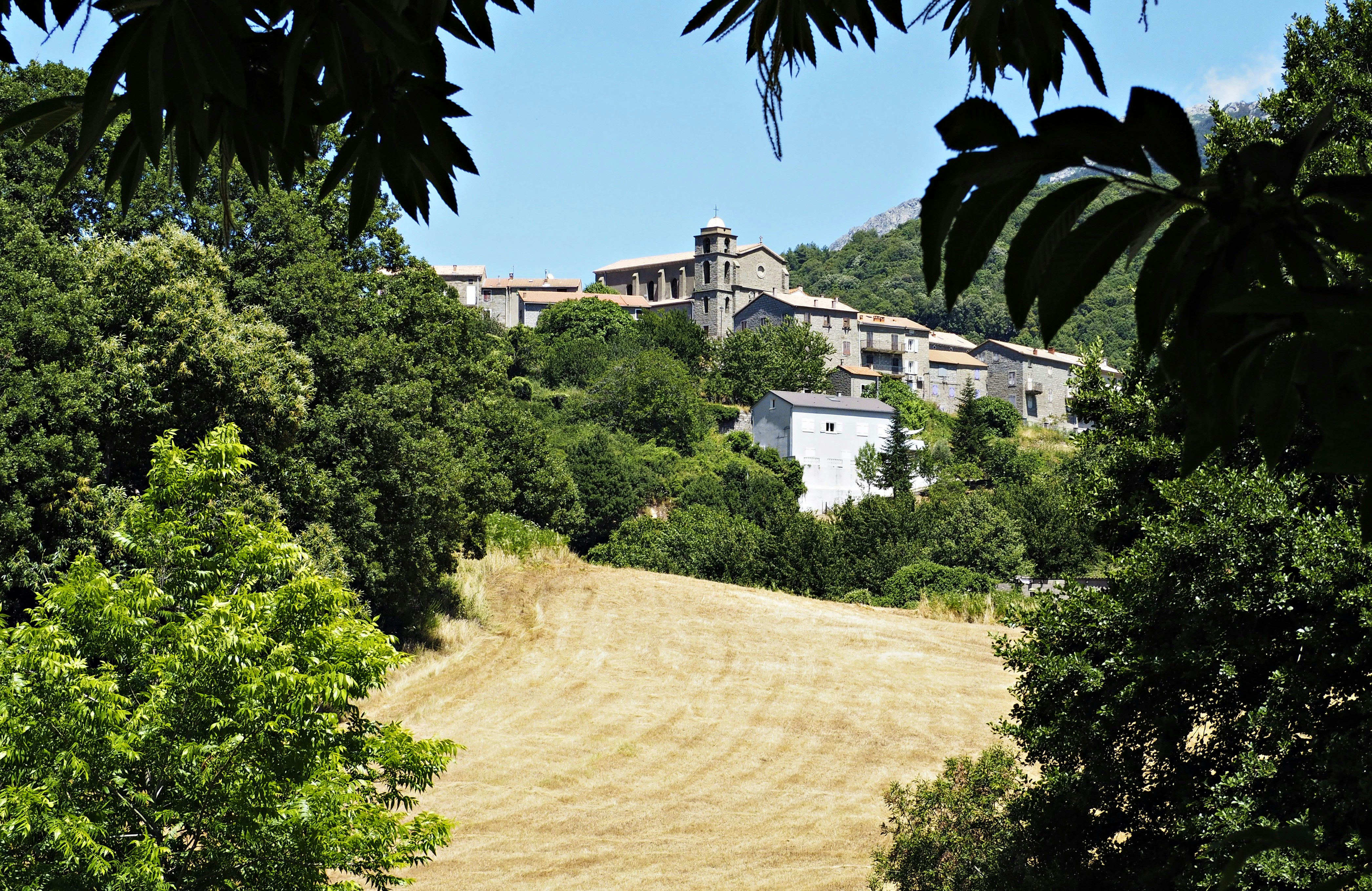 Corse-du-Sud