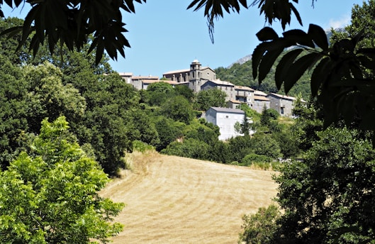 A small village is situated on a hill surrounded by dense greenery. The buildings in the village appear to be made of stone and are arranged closely together. In the foreground, there is an open field with freshly cut grass, framed by tree branches and leaves at the top.