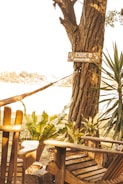 A calm outdoor setting for reflective therapy sessions.