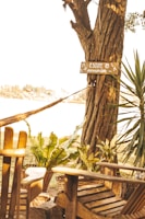 A peaceful outdoor setting used for therapy sessions.