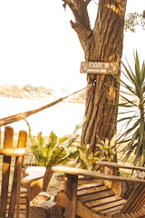 A serene outdoor setup at the Tree House Farm with medical staff conducting fitness diagnostics.