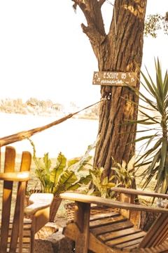 A calm outdoor setting for reflective therapy sessions.