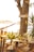 A serene outdoor space for therapy sessions surrounded by nature.
