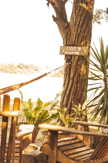 A scenic outdoor setting featuring wooden chairs and a tree adorned with a small sign. The landscape includes lush green plants, suggesting a serene, natural environment. The background features blurred elements of a body of water and distant foliage.