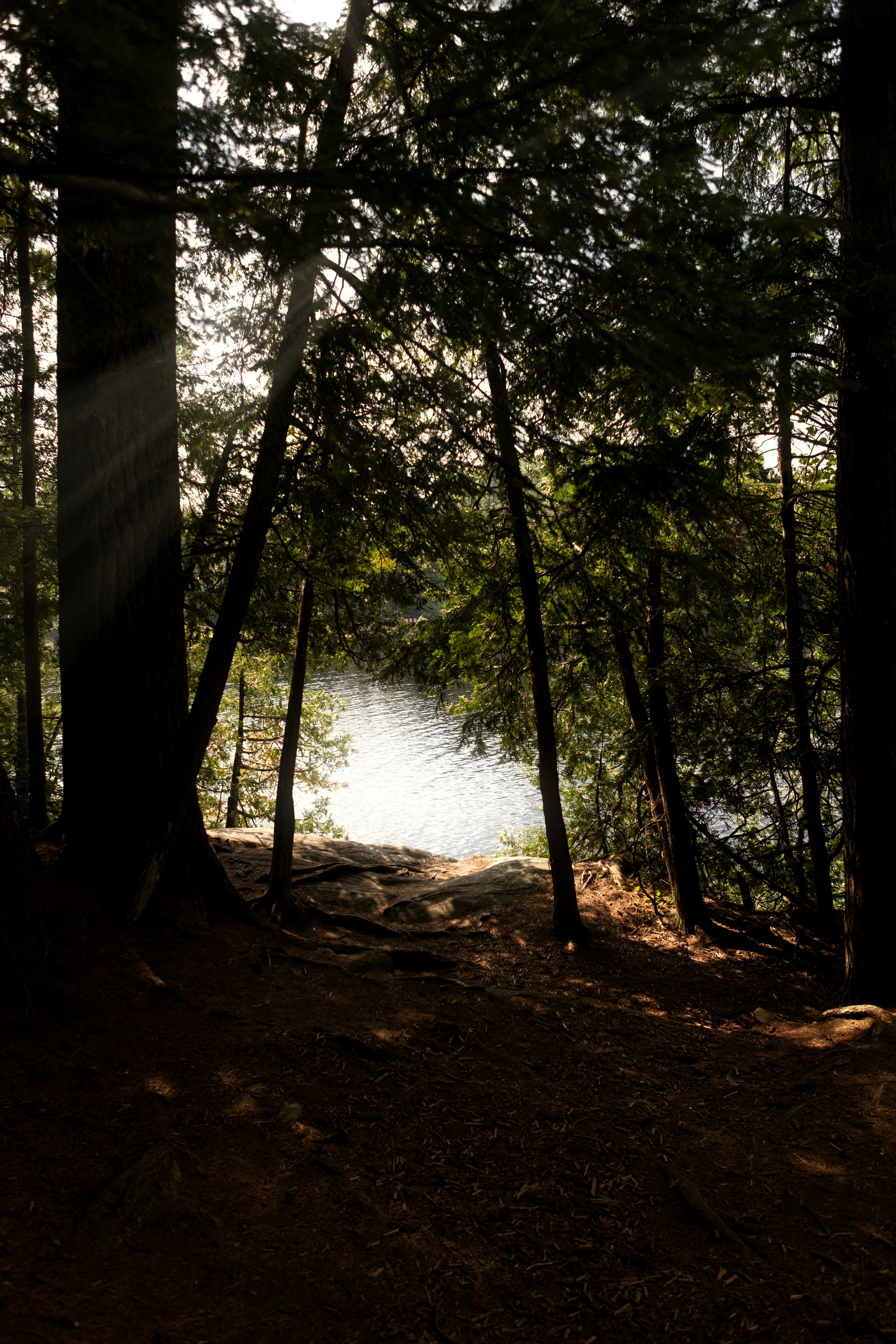 Photo by kyddvisuals