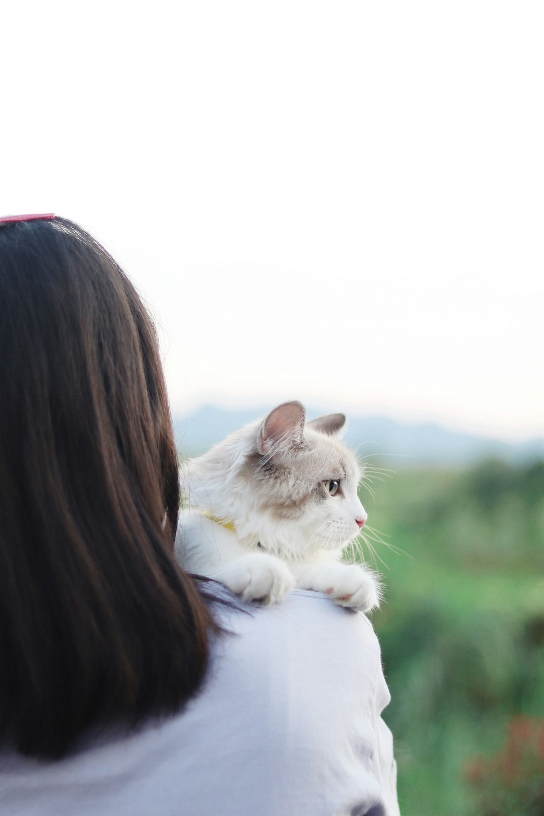 woman in black shirt carrying white and brown cat