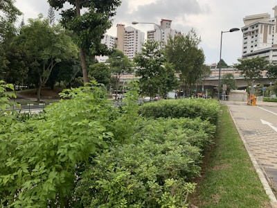 Urban scene with lush green bushes and trees along a pathway in the foreground. Residential high-rise buildings are visible in the background under a cloudy sky. Streetlights line the paved pathway, and a few vehicles are seen on the road near the buildings.