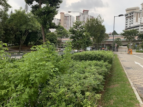 Urban scene with lush green bushes and trees along a pathway in the foreground. Residential high-rise buildings are visible in the background under a cloudy sky. Streetlights line the paved pathway, and a few vehicles are seen on the road near the buildings.