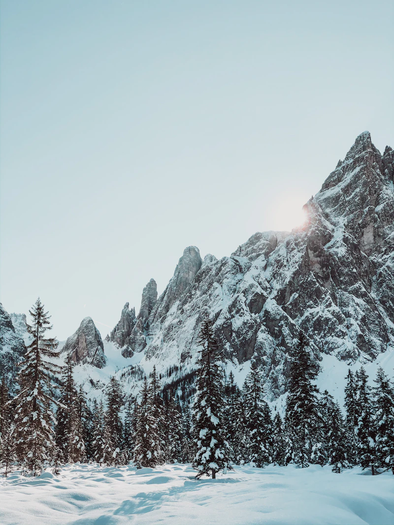 Glacier Hike