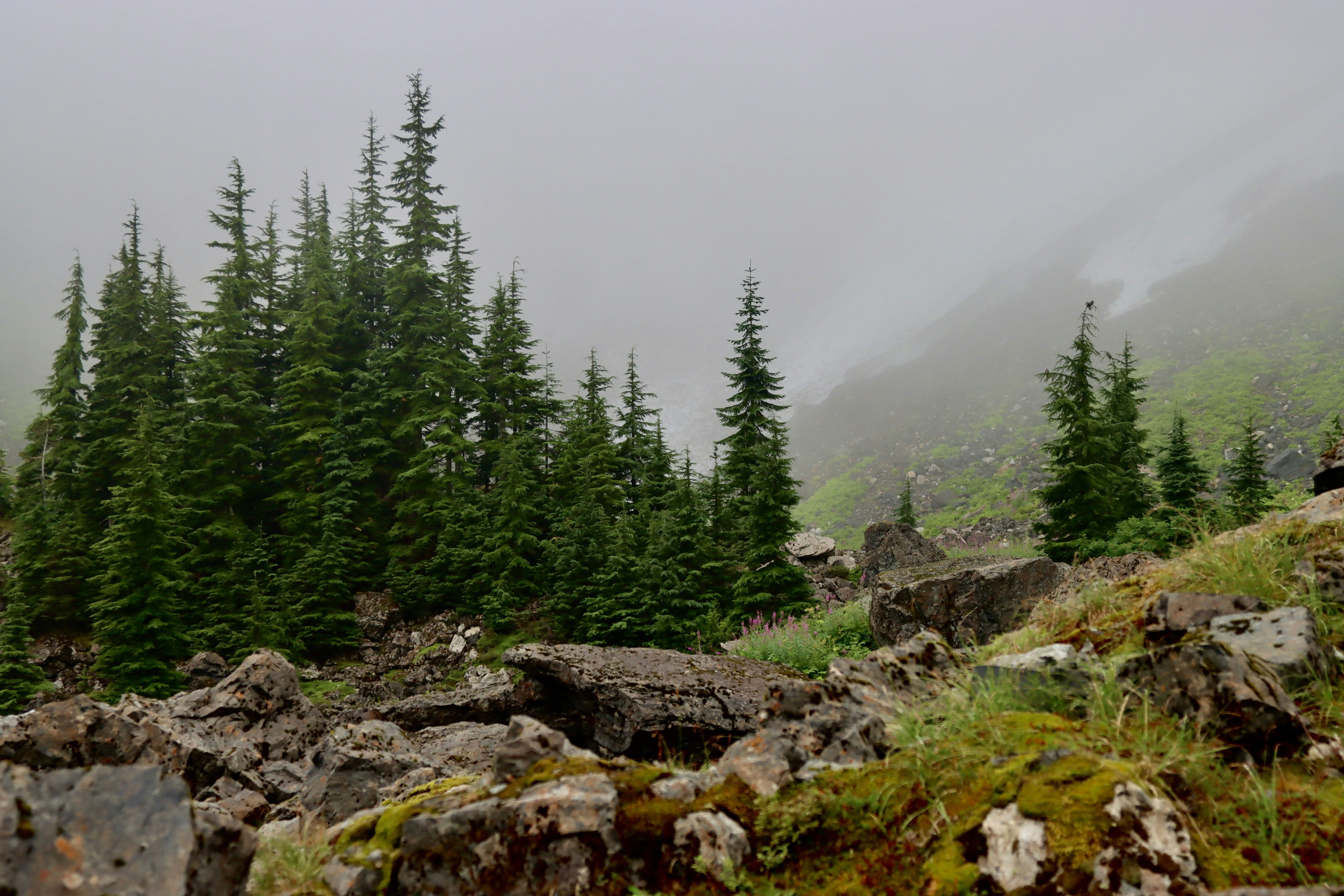 Photo by goonies1982