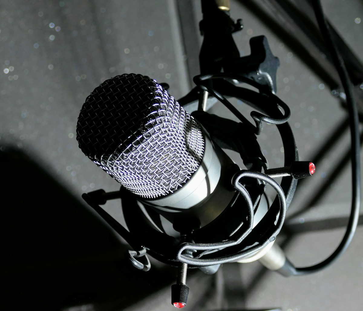 Black and gray microphone on black and white textile
