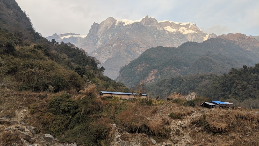 white train on rail near green trees and mountains during daytime