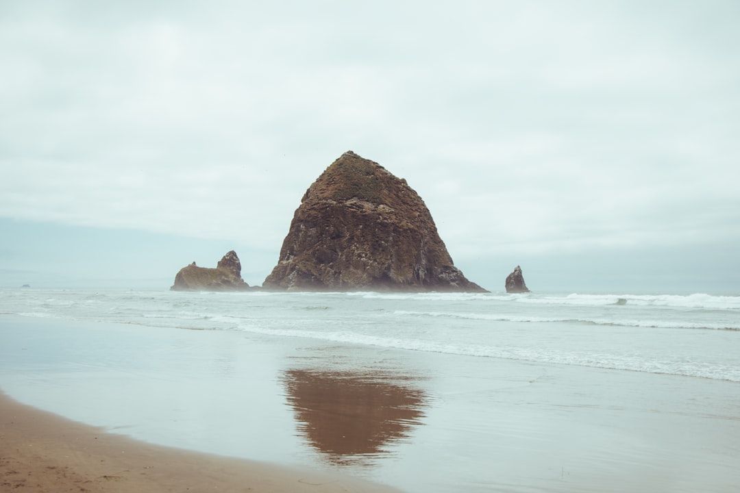 brown rock formation on sea during daytime