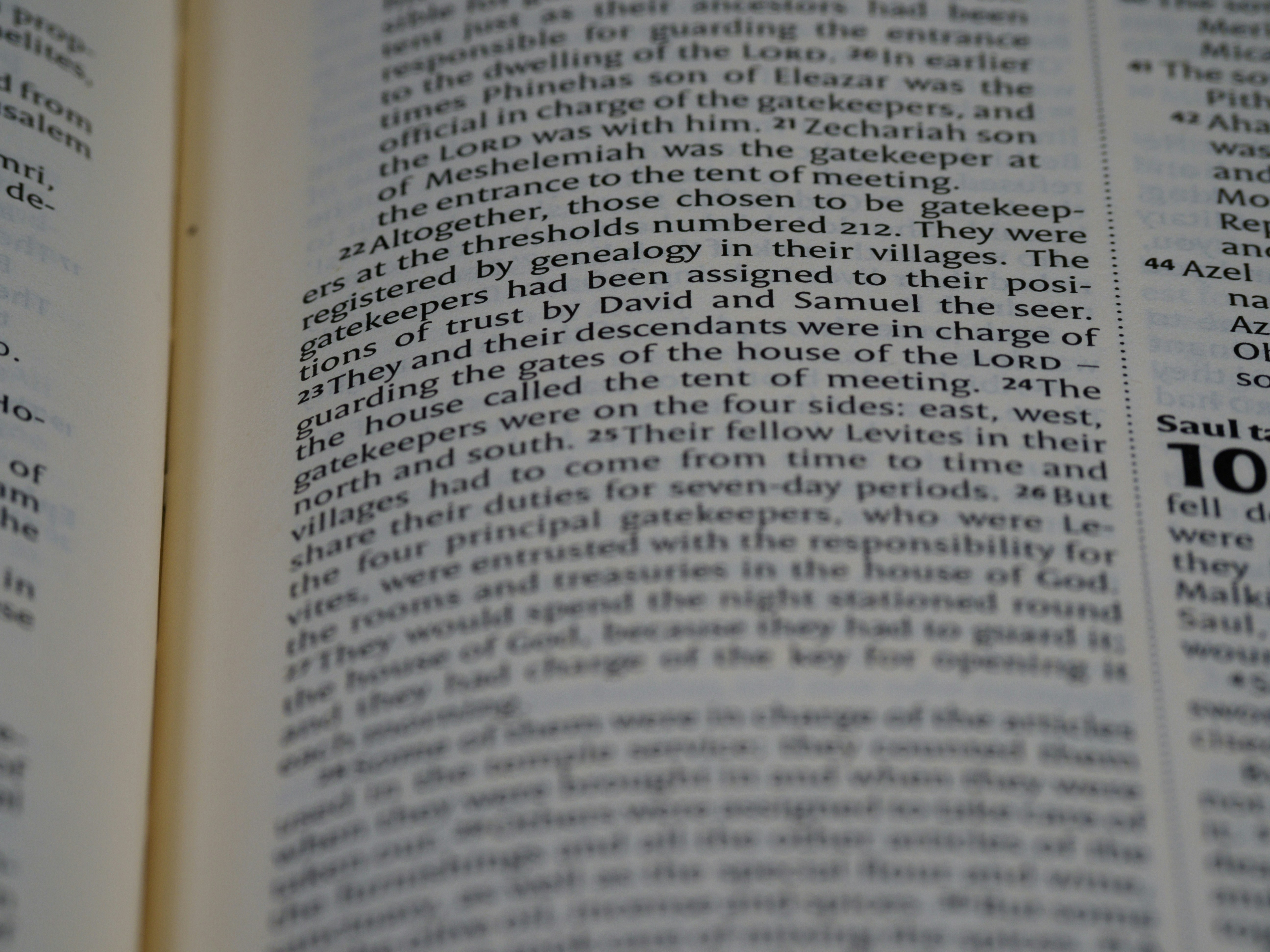 Photo by brett_jordan