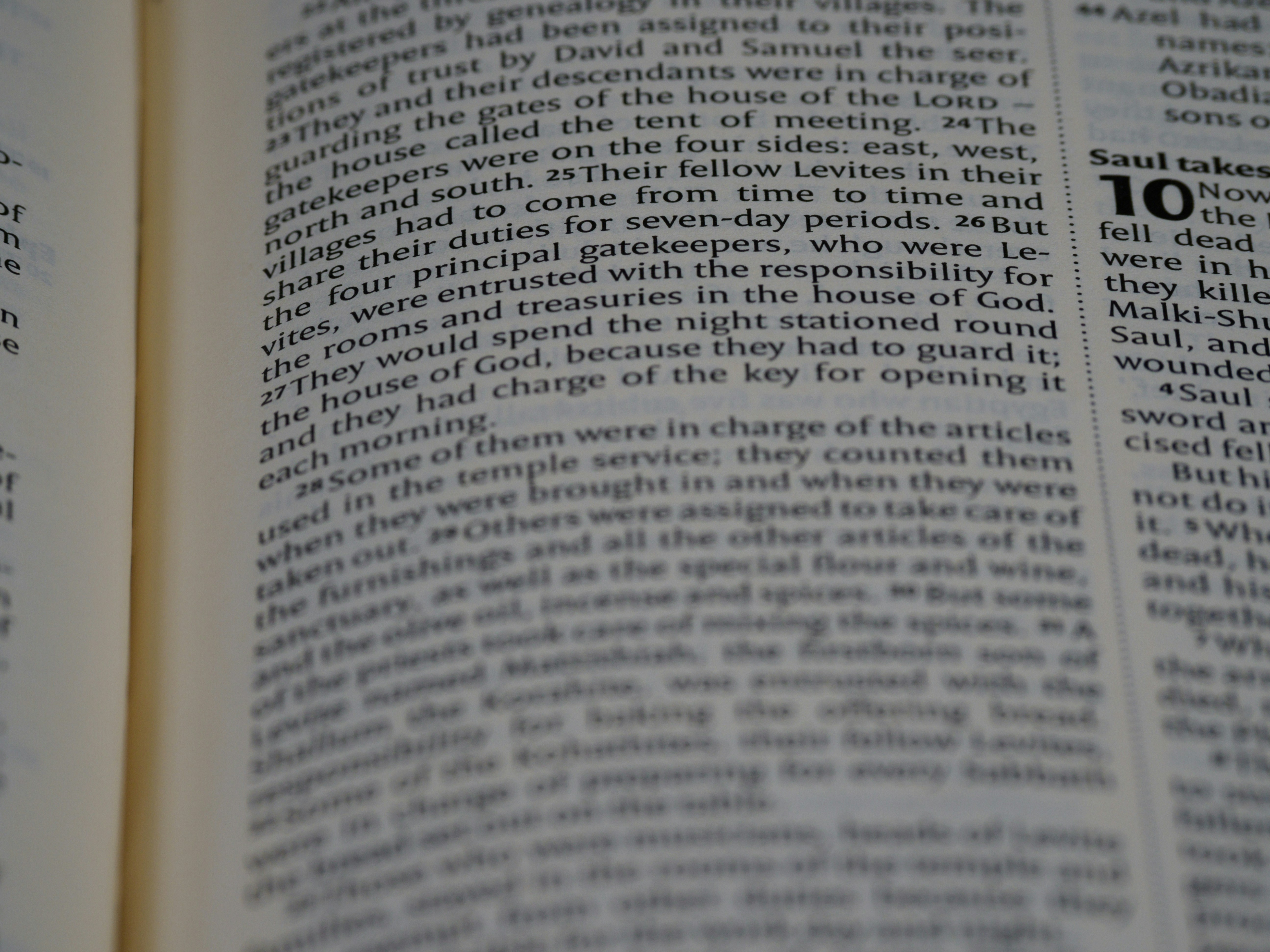 Photo by brett_jordan