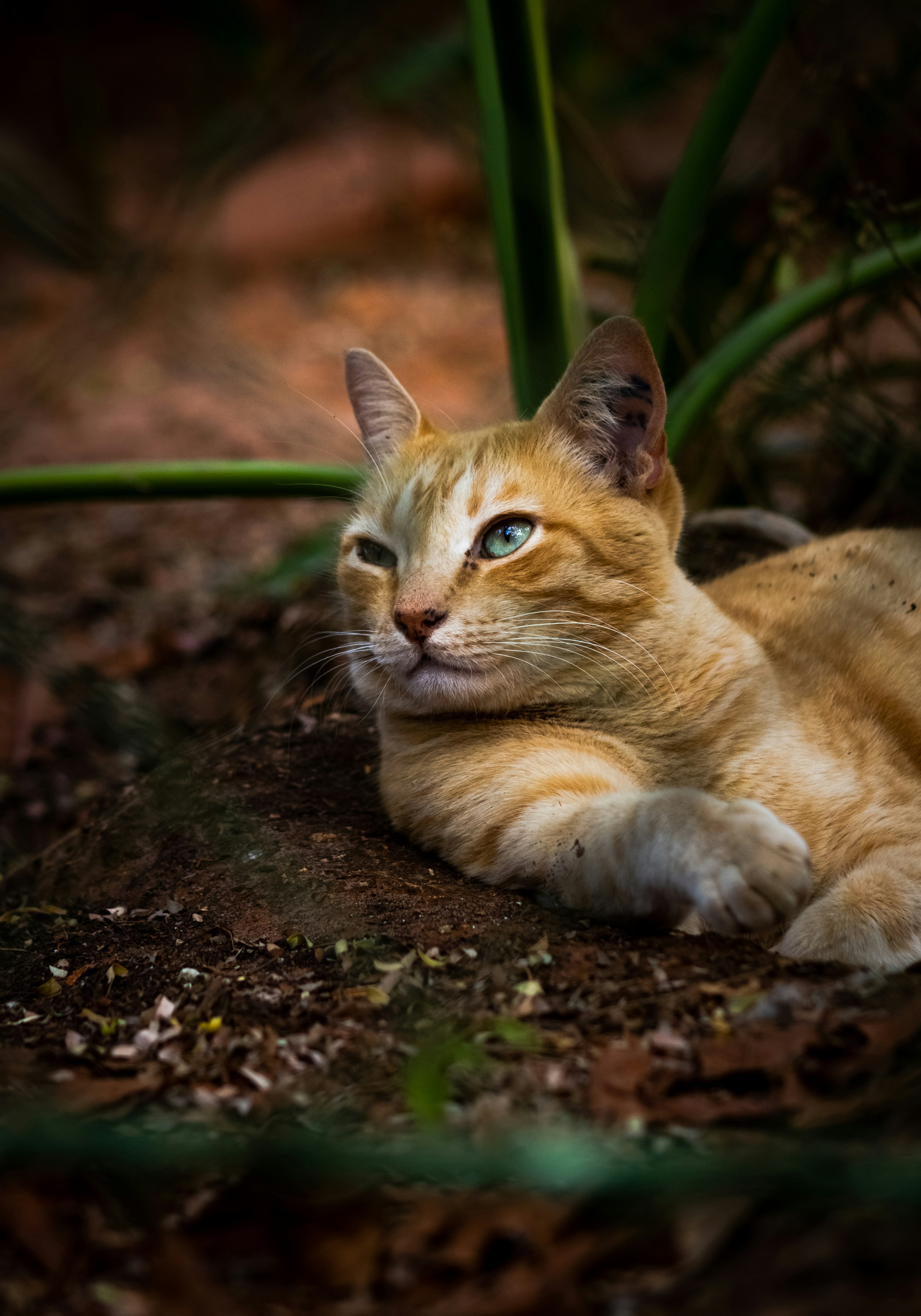 Photo by nathaliarantes