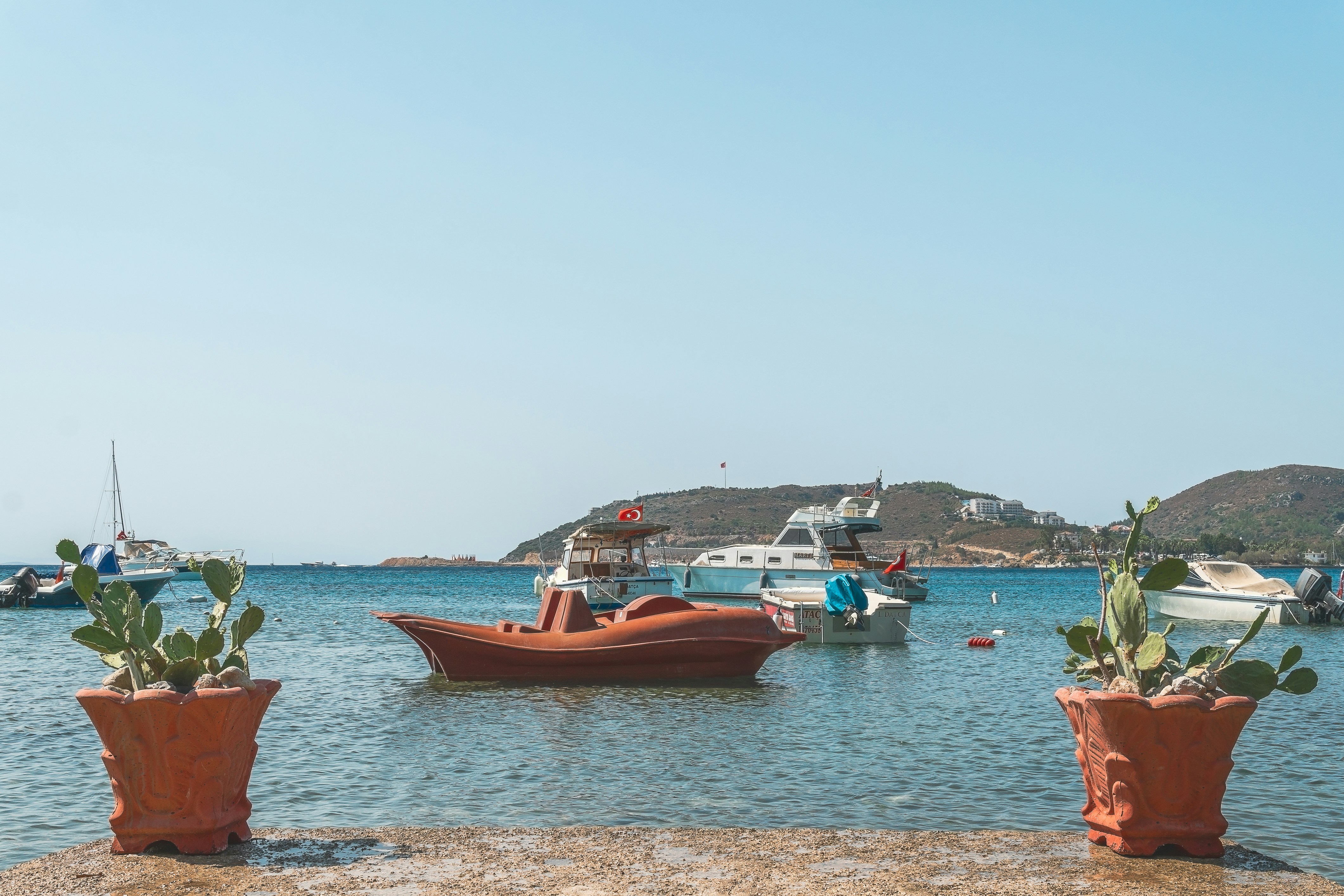 Photo by little_klein