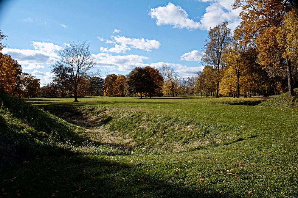 green grass field with trees under blue sky during daytime